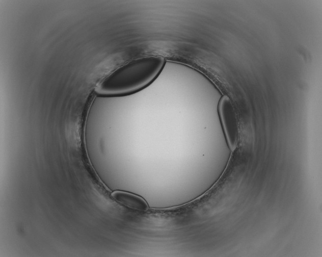 X0000114080489200910191545