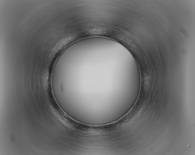 X0000114080490200910191545