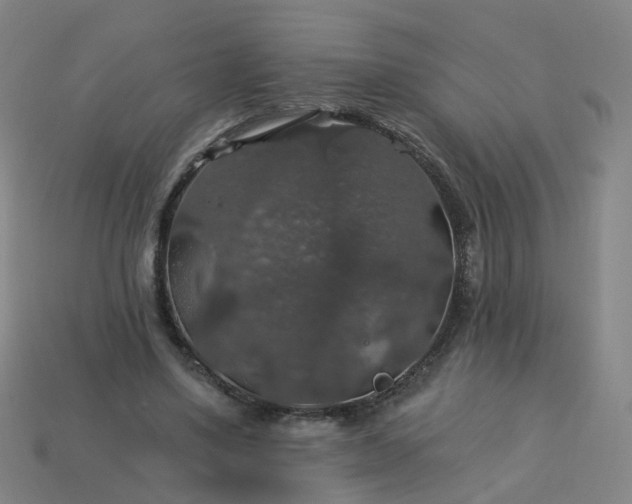 X0000114080491200910191545