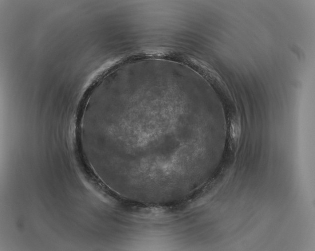 X0000114080492200910191545