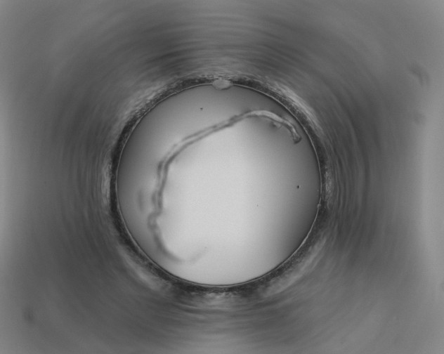 X0000114080493200910191545