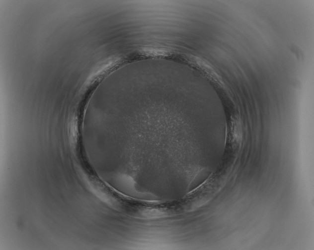 X0000114080494200910191545