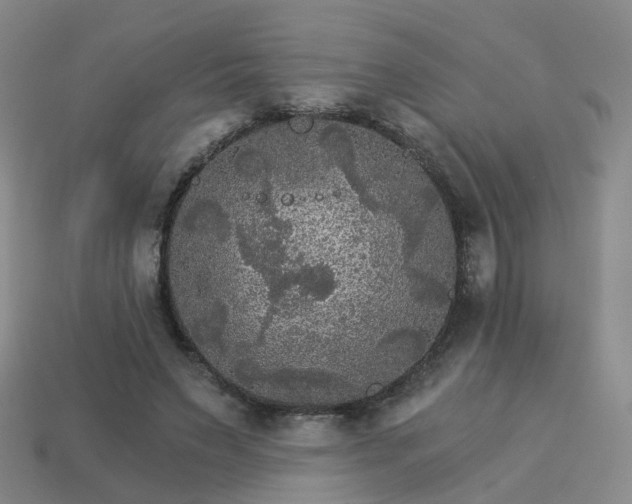 X0000114080495200910191545