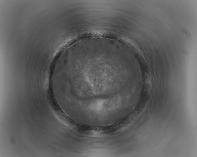 X0000114080496200910191545