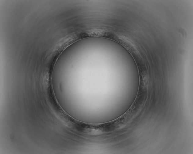 X0000114080498200910191545