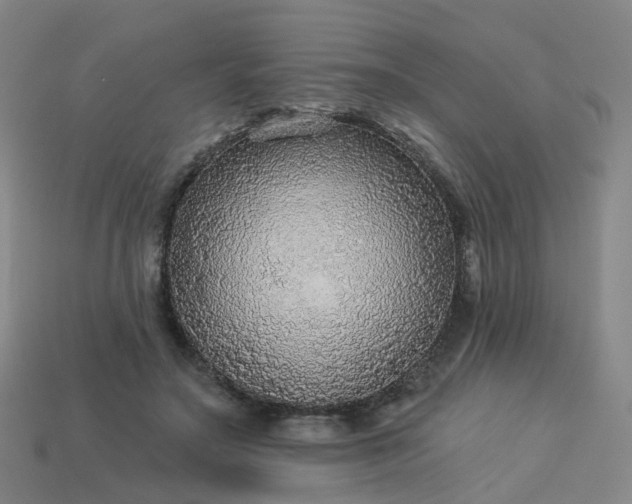 X0000114080499200910191545