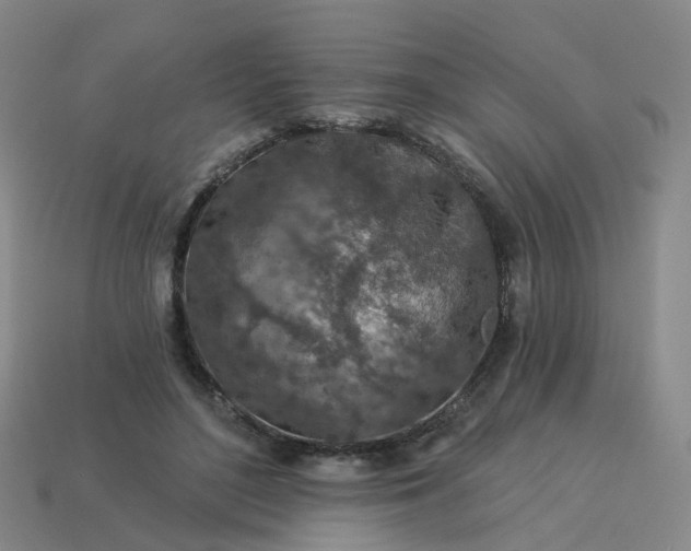 X0000114080500200910191545