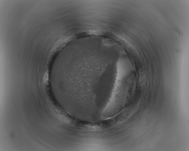 X0000114080502200910191545