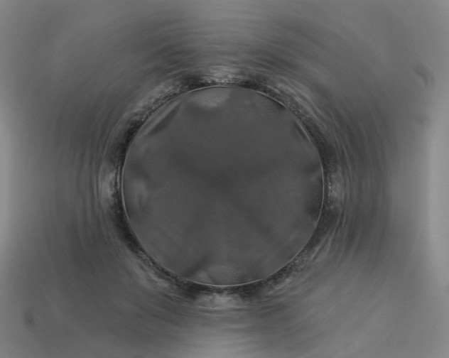 X0000114080503200910191545