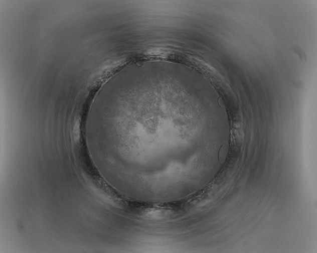 X0000114080504200910191545