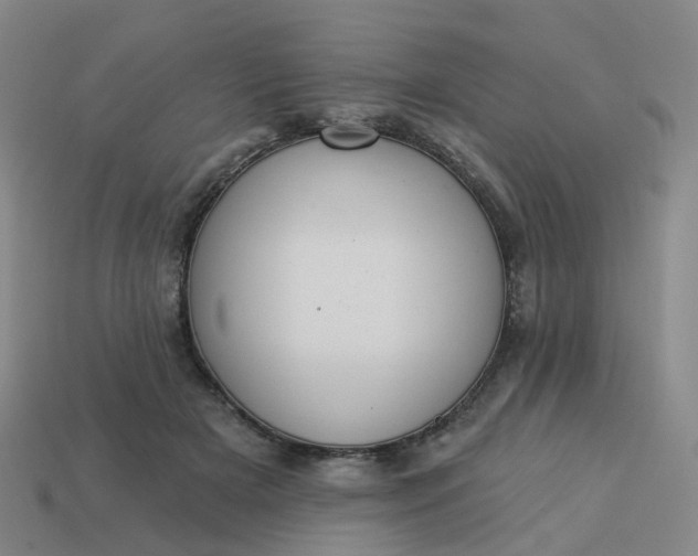 X0000114080505200910191545