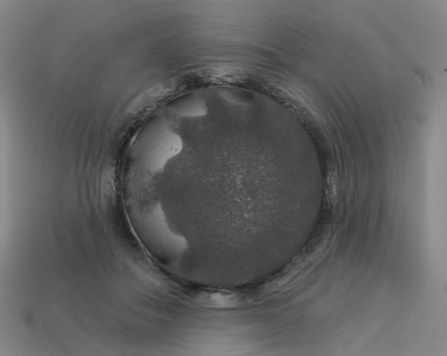 X0000114080506200910191545