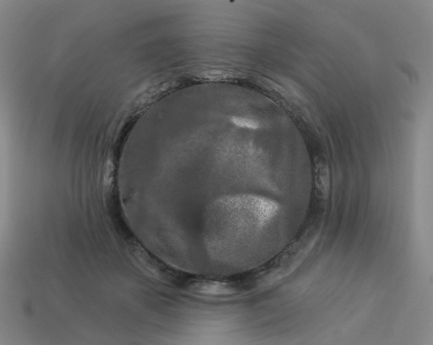 X0000114080507200910191545