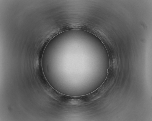 X0000114080508200910191545