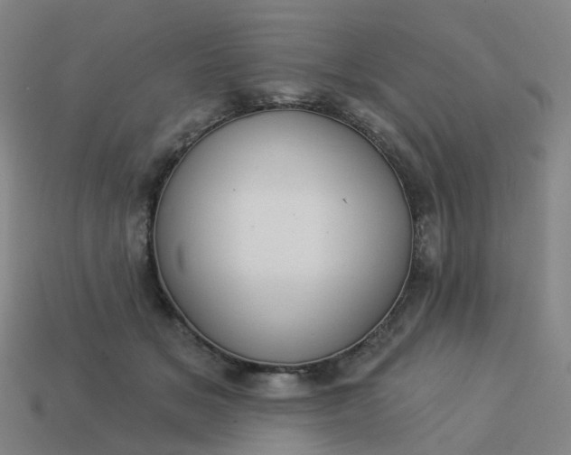 X0000114080509200910191545