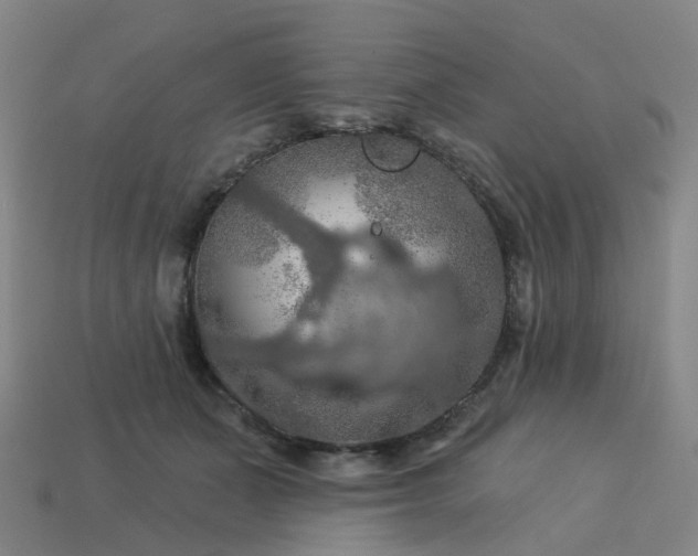 X0000114080511200910191545