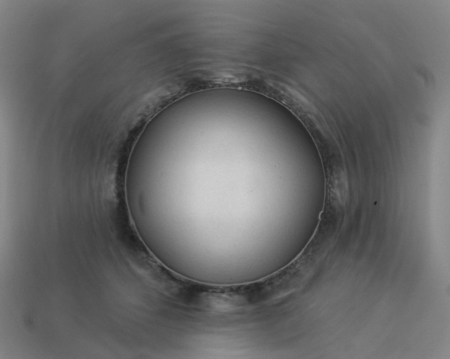 X0000114080512200910191545