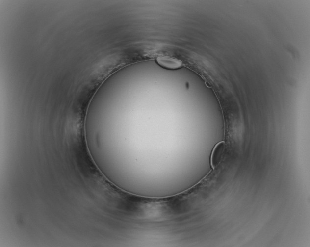 X0000114080513200910191545