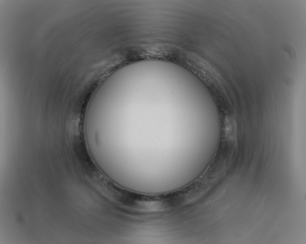 X0000114080514200910191545