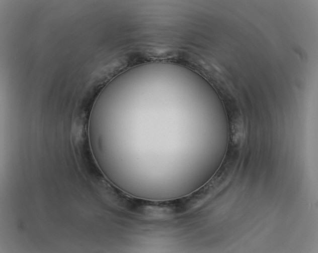 X0000114080515200910191545