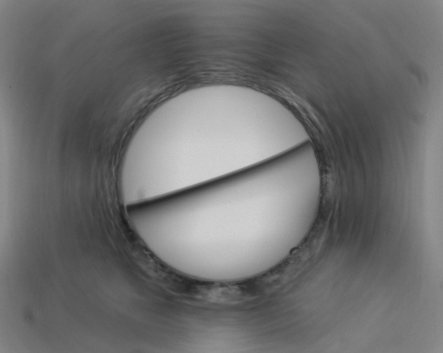 X0000114080517200910191545