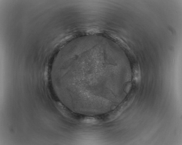 X0000114080519200910191545