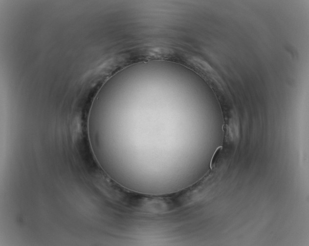 X0000114080520200910191545