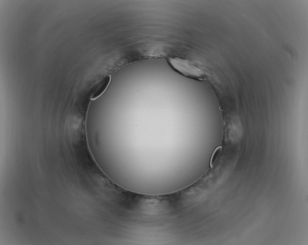 X0000114080521200910191545