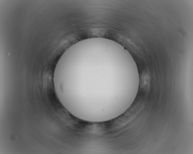 X0000114080522200910191545