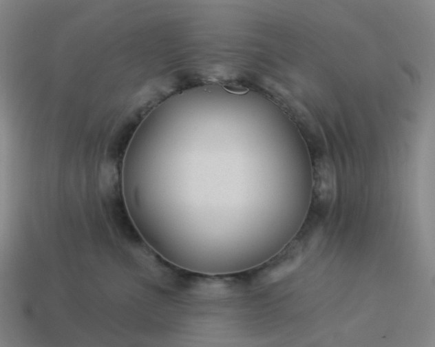 X0000114080523200910191545