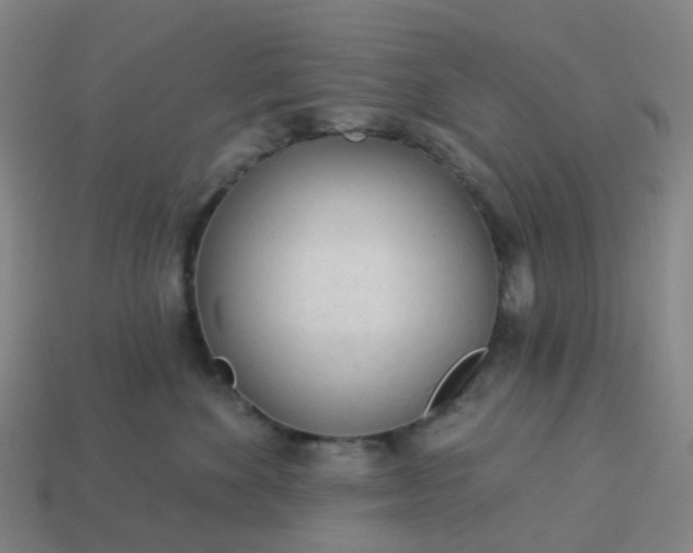 X0000114080524200910191545