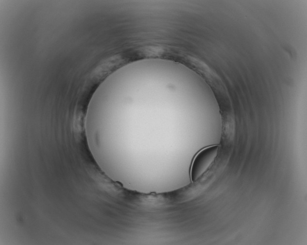 X0000114080525200910191545