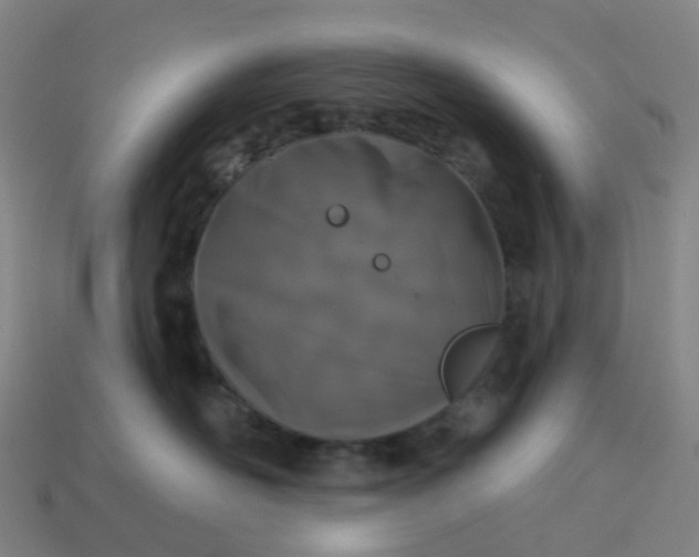 X0000114080526200910191545