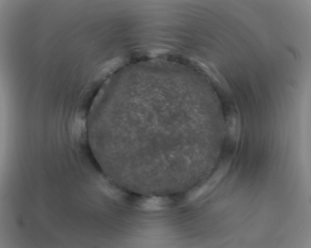 X0000114080527200910191545