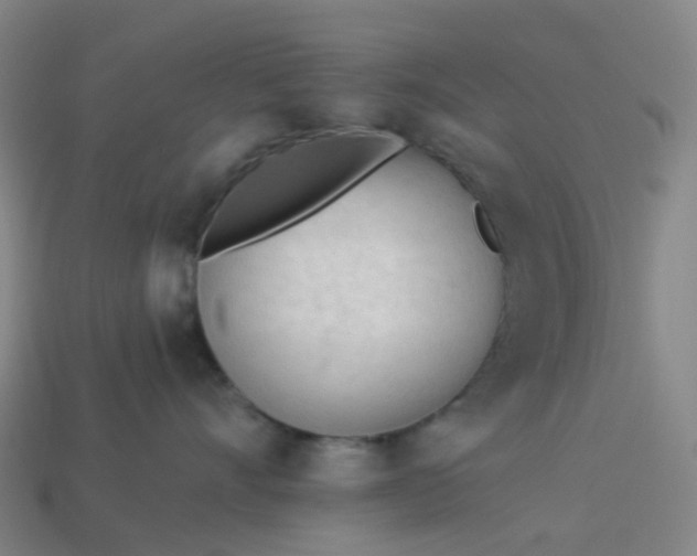 X0000114080528200910191545