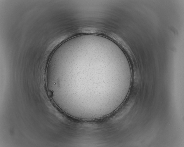 X0000114080529200910191544