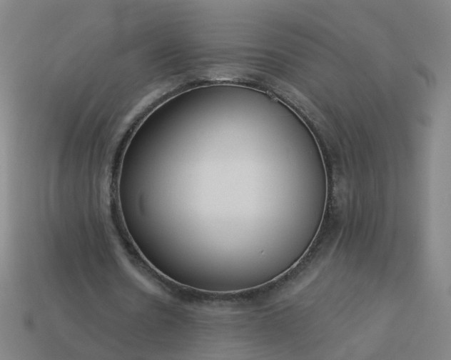 X0000114080530200910191544