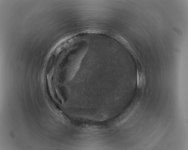 X0000114080531200910191544