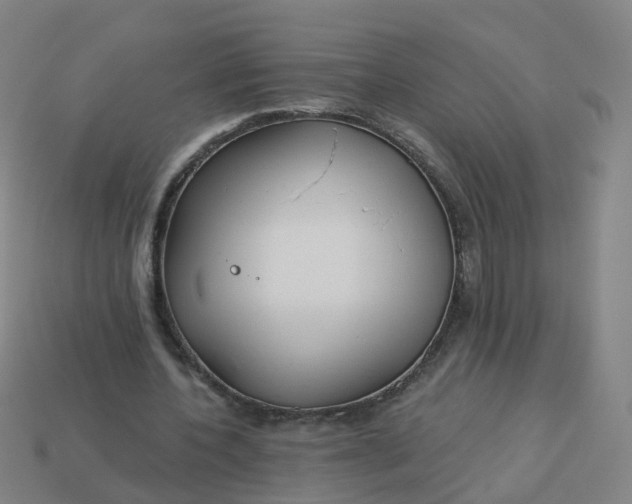 X0000114080532200910191544