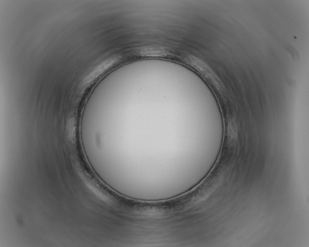 X0000114080533200910191544