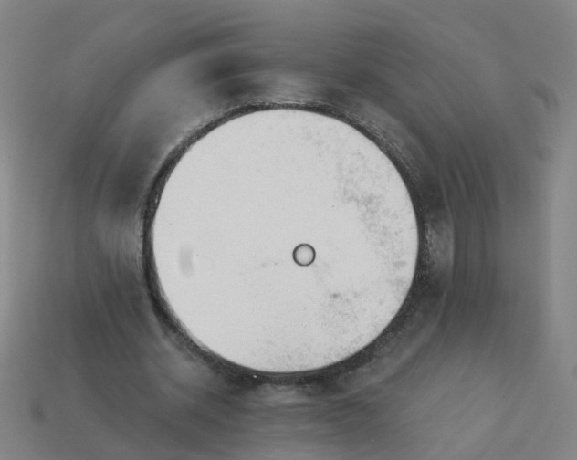 X0000114080534200910191544