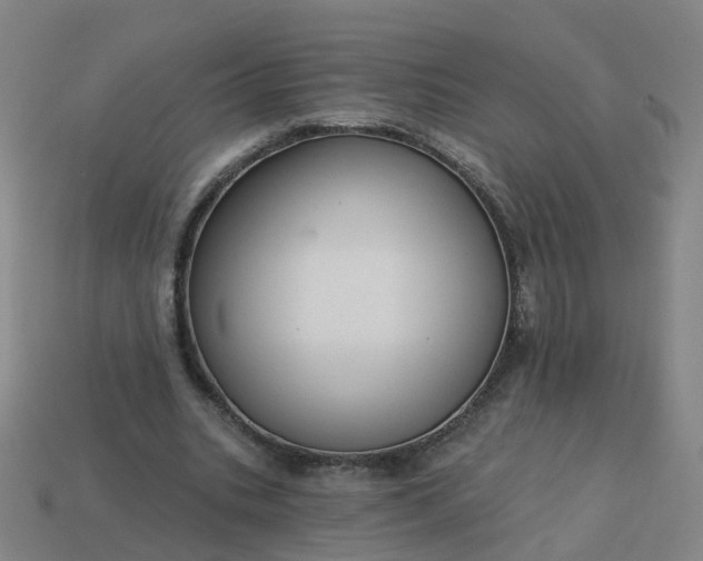 X0000114080535200910191544