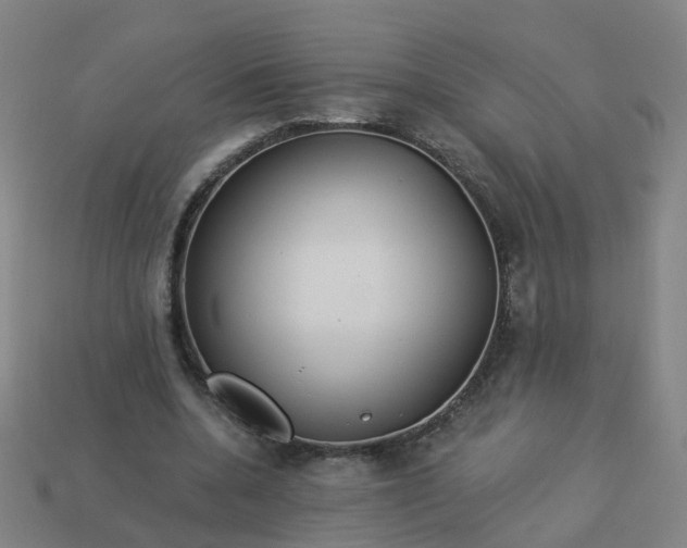 X0000114080536200910191544