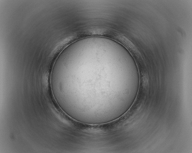 X0000114080537200910191544