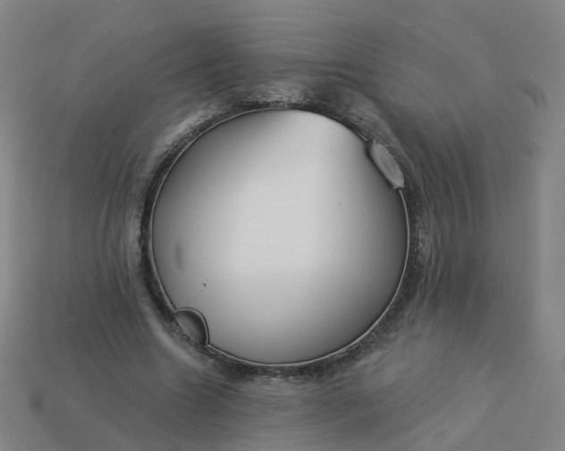 X0000114080538200910191544