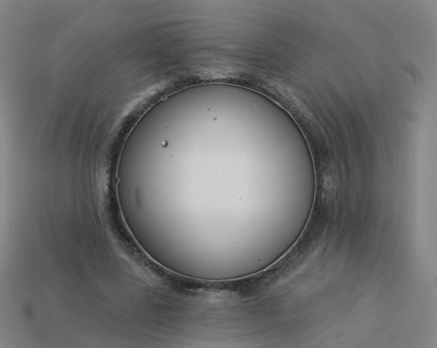 X0000114080539200910191544