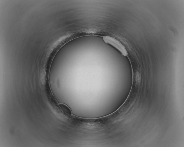 X0000114080540200910191544