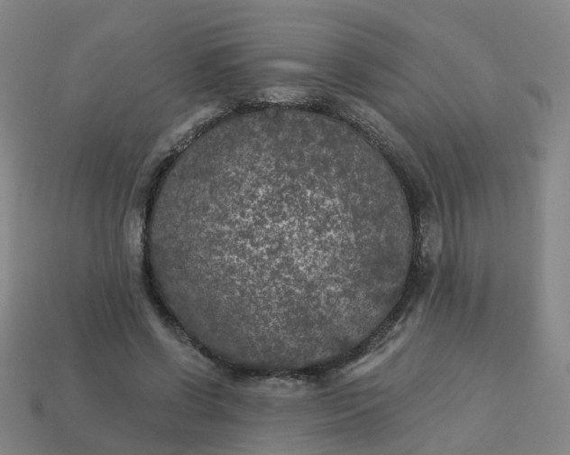 X0000114080542200910191544