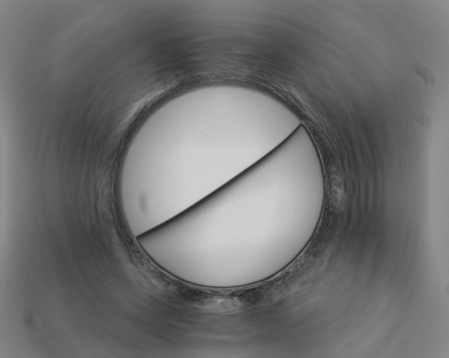 X0000114080543200910191544