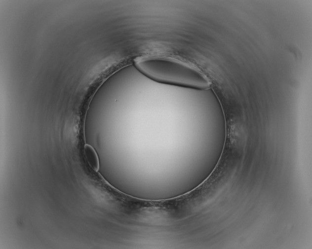 X0000114080544200910191544